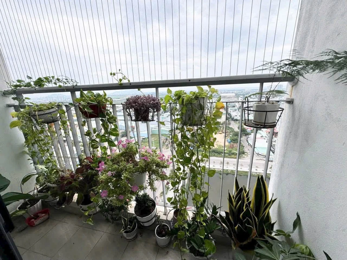 Cho thuê căn hộ Ecolife 64m² 2 PN tại Quy Nhơn 6,5 triệu/tháng - Ảnh thu nhỏ 4