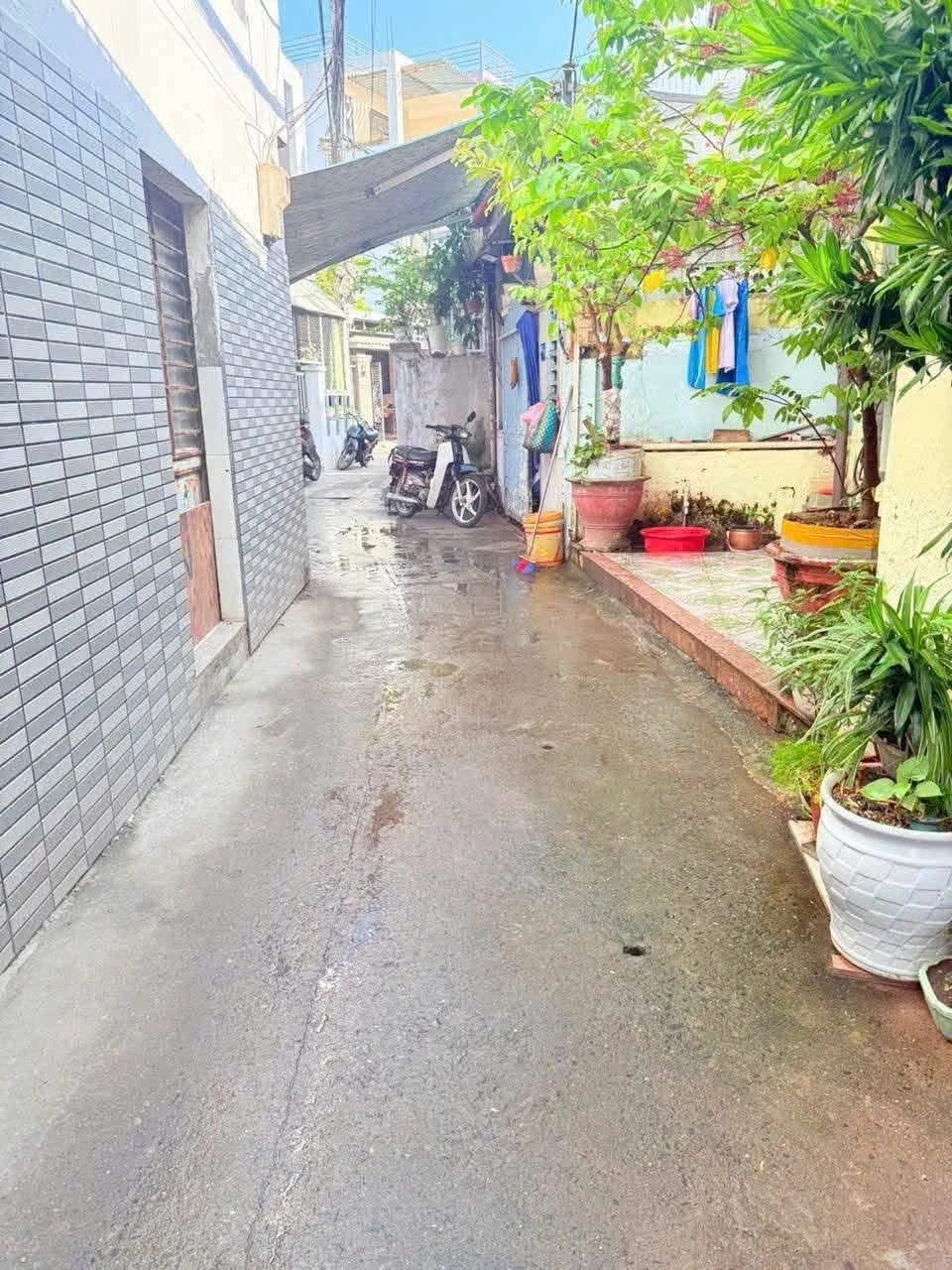 Bán lô đất biển Sơn Trà 63m² Phó Đức Chính 3 tỷ 3 - Ảnh 1
