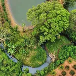 Bán vườn sinh thái Ea Kao 3.866m² giá 8 tỷ - Ảnh thu nhỏ 4