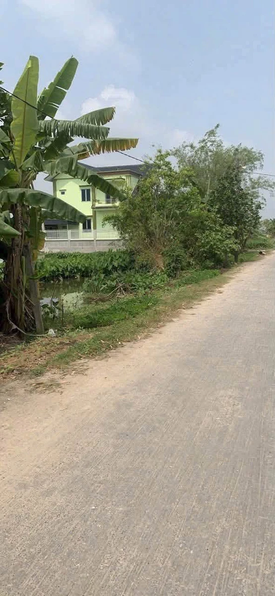Bán đất mặt đường Kiến Xương Hưng Yên 99.8m2 - Ảnh thu nhỏ 4