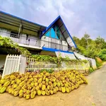 Bán 6.654m² đất vườn sầu riêng kèm nhà đầy đủ nội thất tại Bảo Lộc, giá 4,3 tỷ - Ảnh thu nhỏ 3
