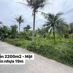 Bán đất mặt tiền Trần Văn Ấn 2200m2 Trà Vinh - Ảnh thu nhỏ 5