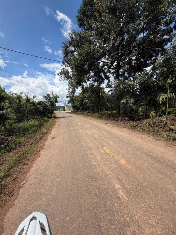 Bán đất sào lớn trên 10.000m2 làm kho bãi, nhà xưởng
