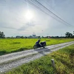 Bán 1000m2 đất vườn có 300m2 thổ cư, sổ hồng riêng, Mỹ Hạnh Nam, Đức Hòa, Long An - Ảnh thu nhỏ 1