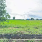 Bán lô đất Hàm Chính 1499m² sổ hồng công chứng - Ảnh thu nhỏ 3