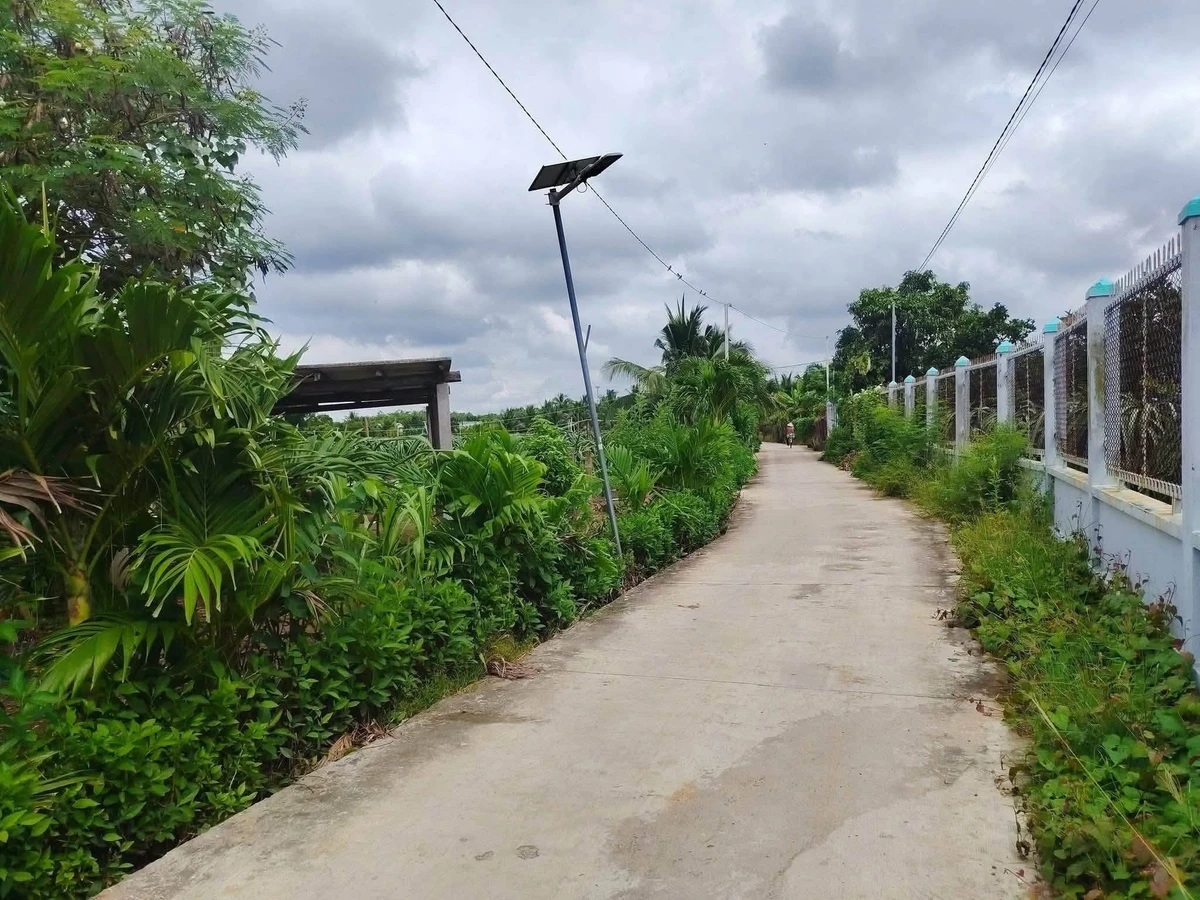 Bán đất thổ cư 516m² Tầm Vu, Châu Thành, Long An 850 triệu - Ảnh 1