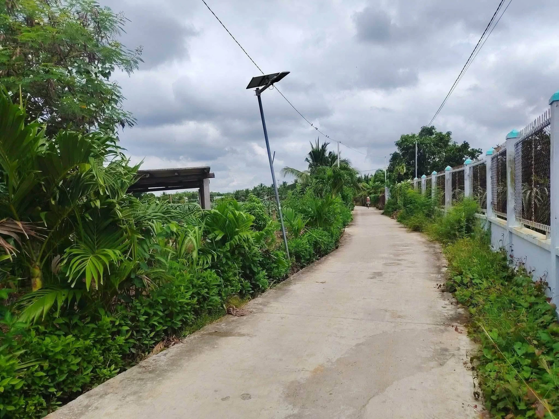 Bán đất thổ cư 516m² Tầm Vu, Châu Thành, Long An 850 triệu - Ảnh 1