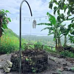 Bán đất vườn 1.000m² La Ngà có cây trái, 580 triệu - Ảnh thu nhỏ 2