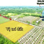 Bán đất thổ vườn 10x80m, 2 lô liền kề, xã Thạnh Hòa, Bến Lức, Long An - Ảnh thu nhỏ 1