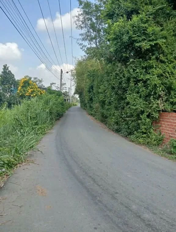 Bán đất 383,8m2 ngang 8m, 100m thổ cư tại Phường Gia Lộc, Trảng Bàng, Tây Ninh - Ảnh thu nhỏ 2