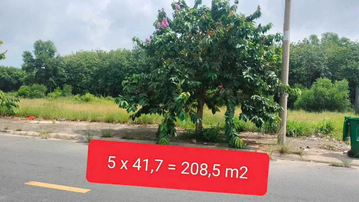 Bán lô đất 208m2 Vsip2 Bắc Tân Uyên 2 tỷ - Ảnh thu nhỏ 2