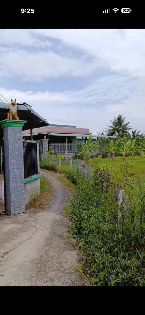 Bán đất cây hàng năm 3600m² Thạnh Đức, Bến Lức 2 tỷ - Ảnh thu nhỏ 4