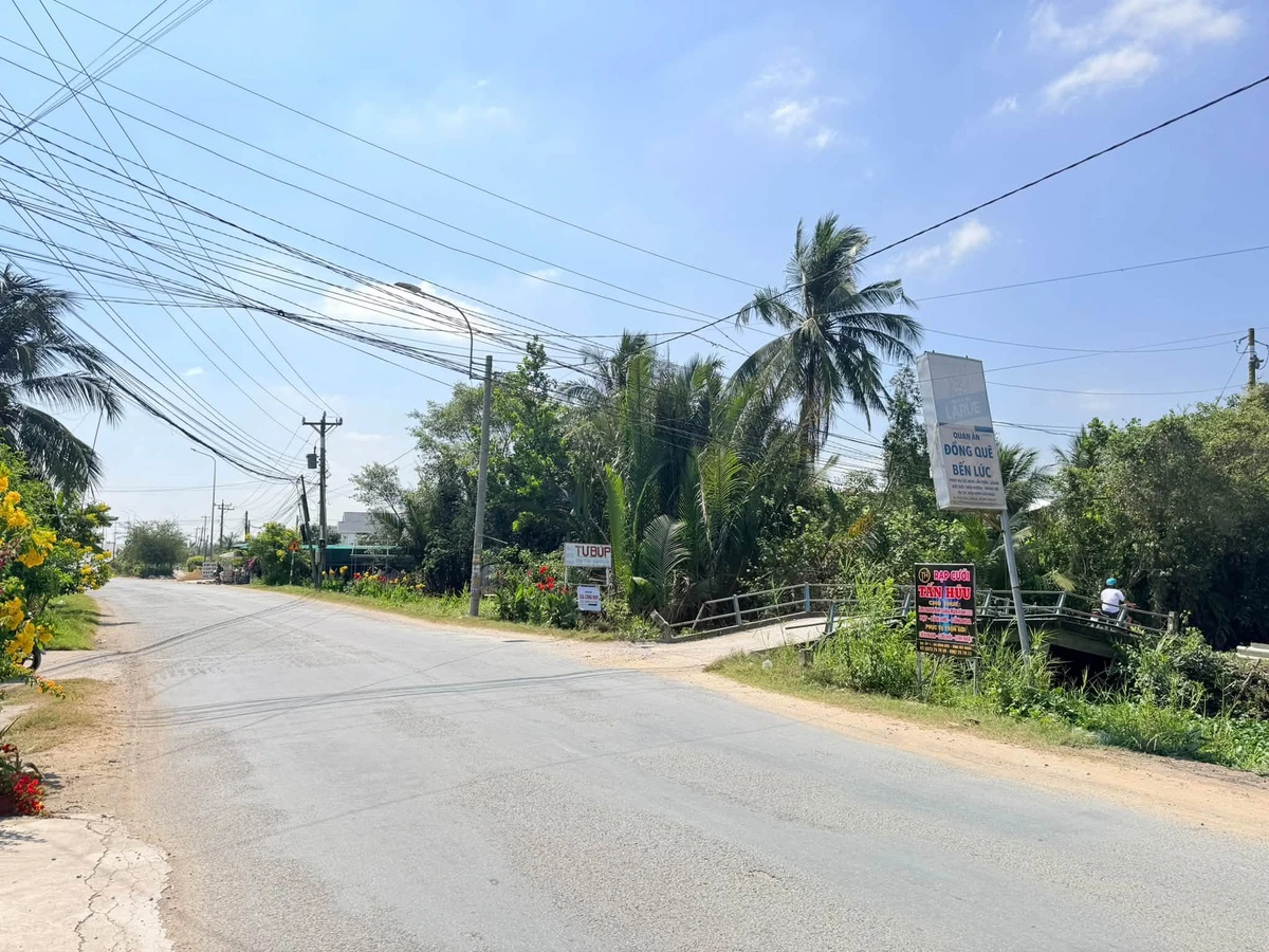 Bán đất vườn 4822 m² ấp 1, Bến Lức, Tây Ninh - Ảnh thu nhỏ 3