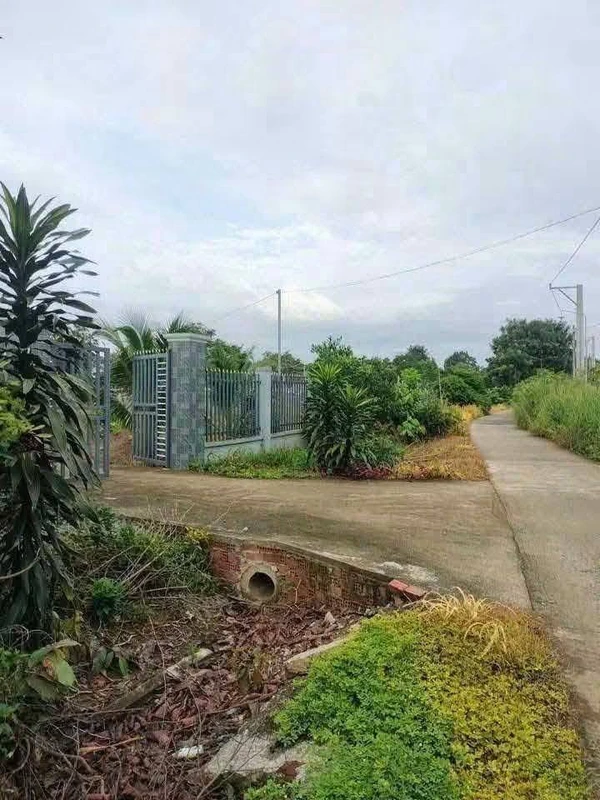 Bán đất khu phố Thanh Hưng An Lộc Đồng Nai 12.500m²