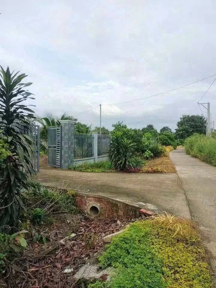 Bán đất khu phố Thanh Hưng An Lộc Đồng Nai 12.500m² - Ảnh 1