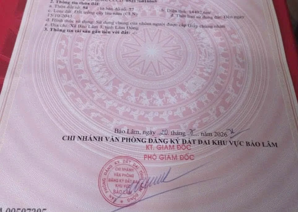 Bán 1,45ha rẫy cà phê Lâm Đồng - Ảnh thu nhỏ 2