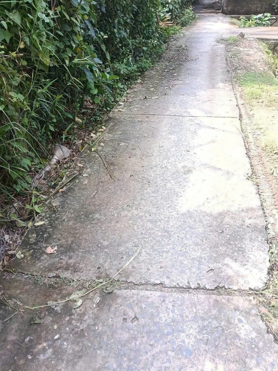 Bán nhà gỗ 107m2 Phú An Hoà Bến Tre - Ảnh thu nhỏ 3
