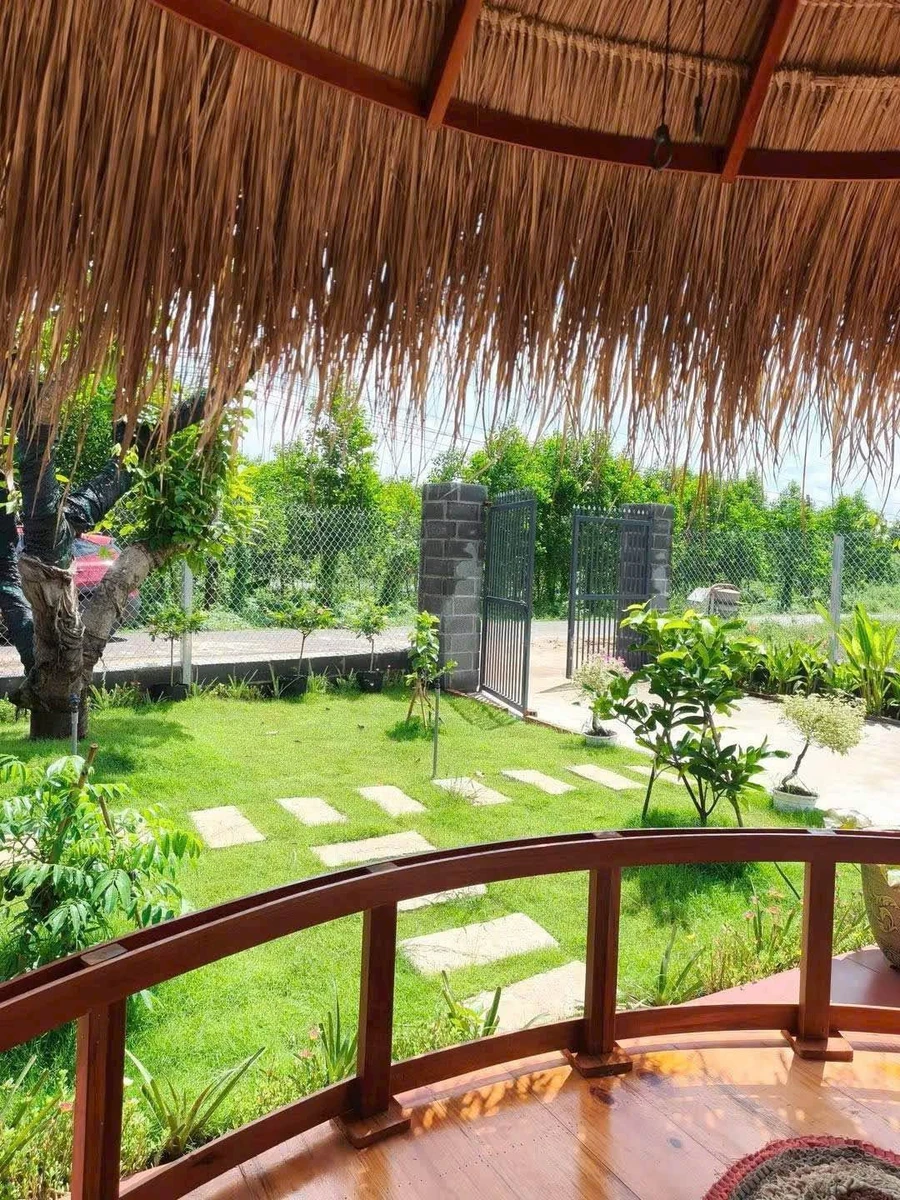 Bán đất vườn 350m² Long Tân Đất Đỏ 1 tỷ 750 triệu - Ảnh thu nhỏ 2