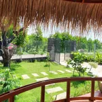 Bán đất vườn 350m² Long Tân Đất Đỏ 1 tỷ 750 triệu - Ảnh thu nhỏ 2