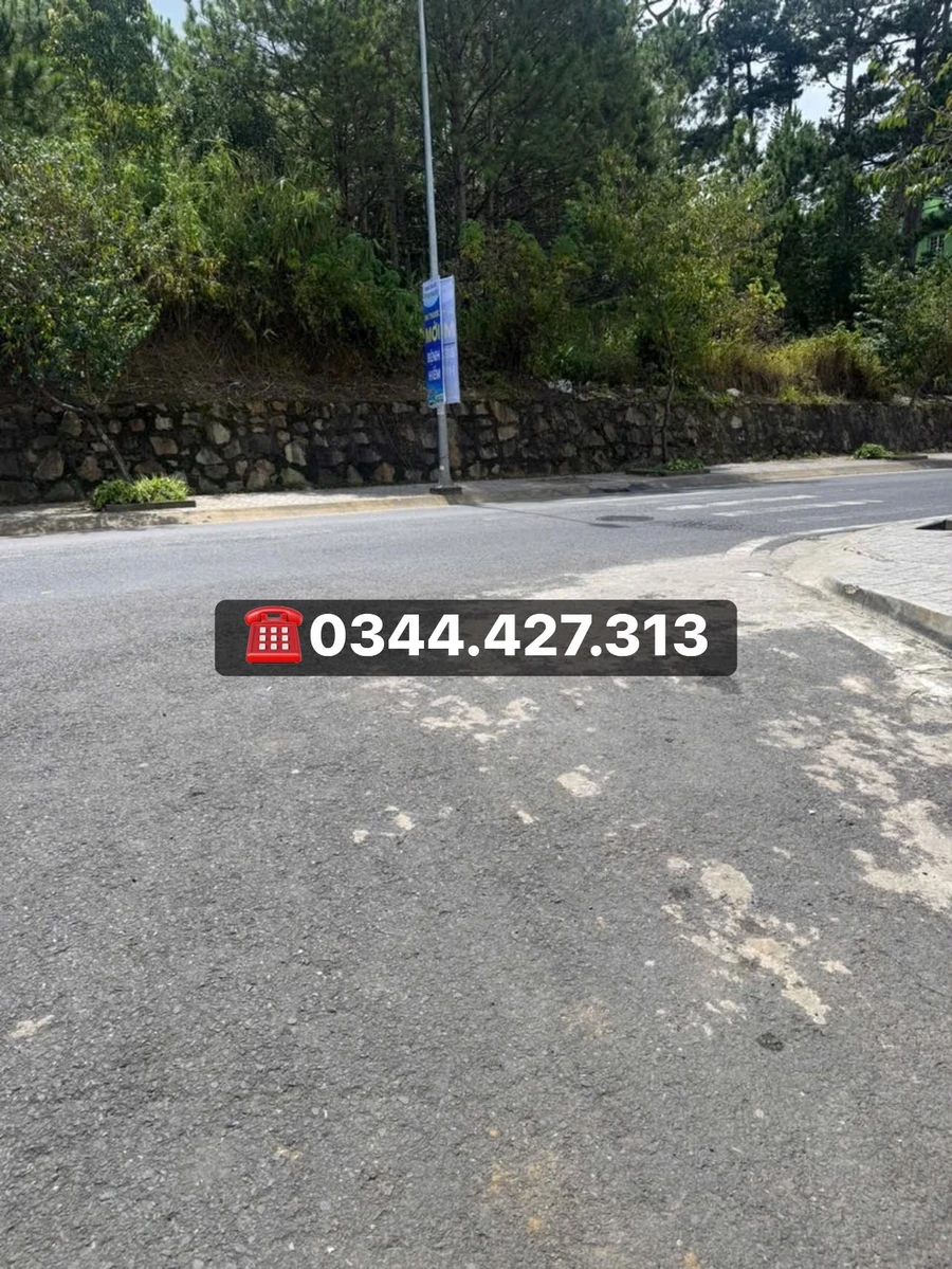 Bán đất biệt thự 300 m² mặt tiền Phạm Hồng Thái, Đà Lạt - Ảnh 1