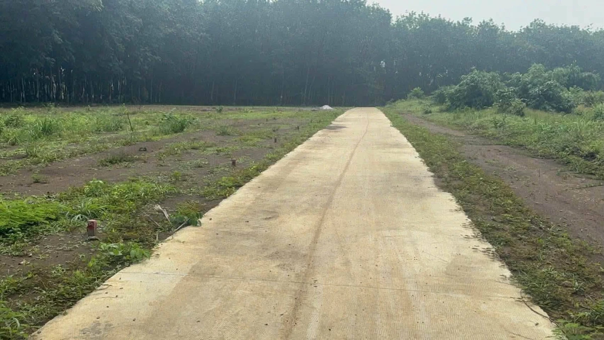 Bán đất nền 300m2, Phường An Lộc, Đồng Nai 149 triệu - Ảnh 1