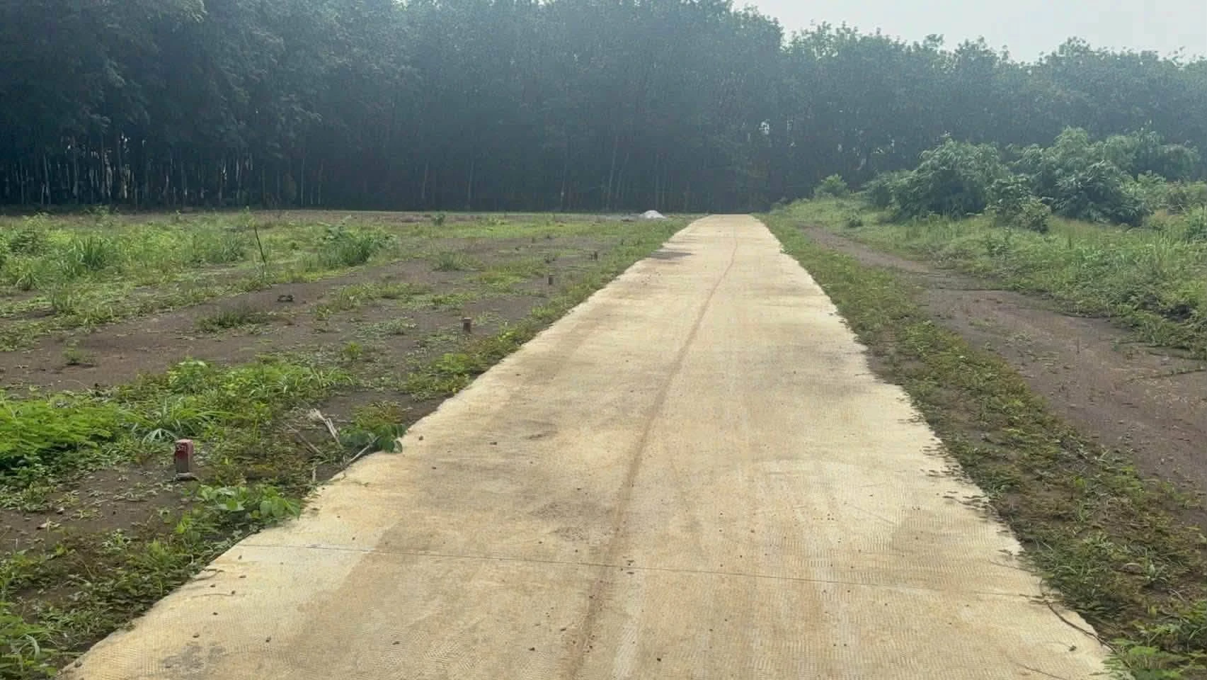 Bán đất nền 300m2, Phường An Lộc, Đồng Nai 149 triệu - Ảnh 1