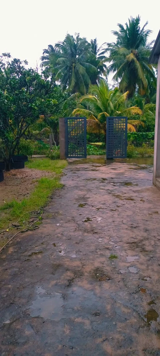 Bán nhà xây mới 500m² 3PN Bình Phú 850 triệu - Ảnh 1