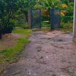 Bán nhà xây mới 500m² 3PN Bình Phú 850 triệu - Ảnh thu nhỏ 1