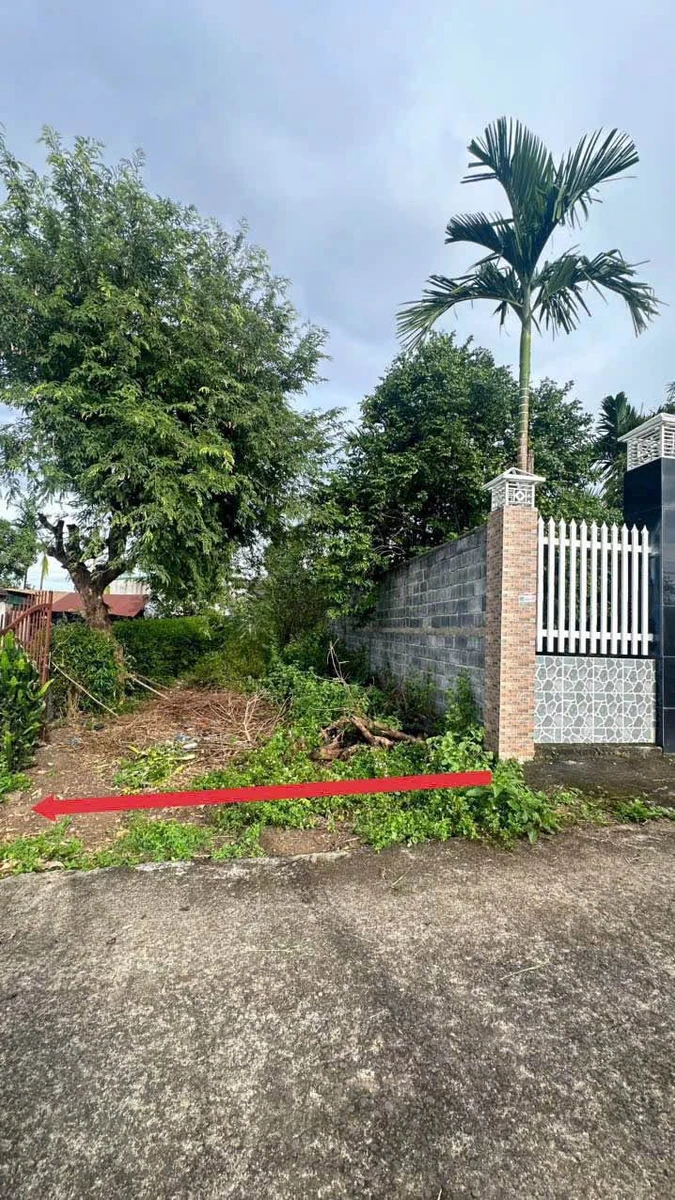 Bán đất mặt tiền bê tông 5,5m x 27m hẻm cấp 1 đường liên thôn 8, Cuebur, Buôn Ma Thuột giá 680 triệu - Ảnh thu nhỏ 2