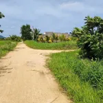 Bán 1,2 sào đất góc 2 mặt tiền quy hoạch thổ cư tại Hàm Liêm, Lâm Đồng giá 379 triệu - Ảnh thu nhỏ 2