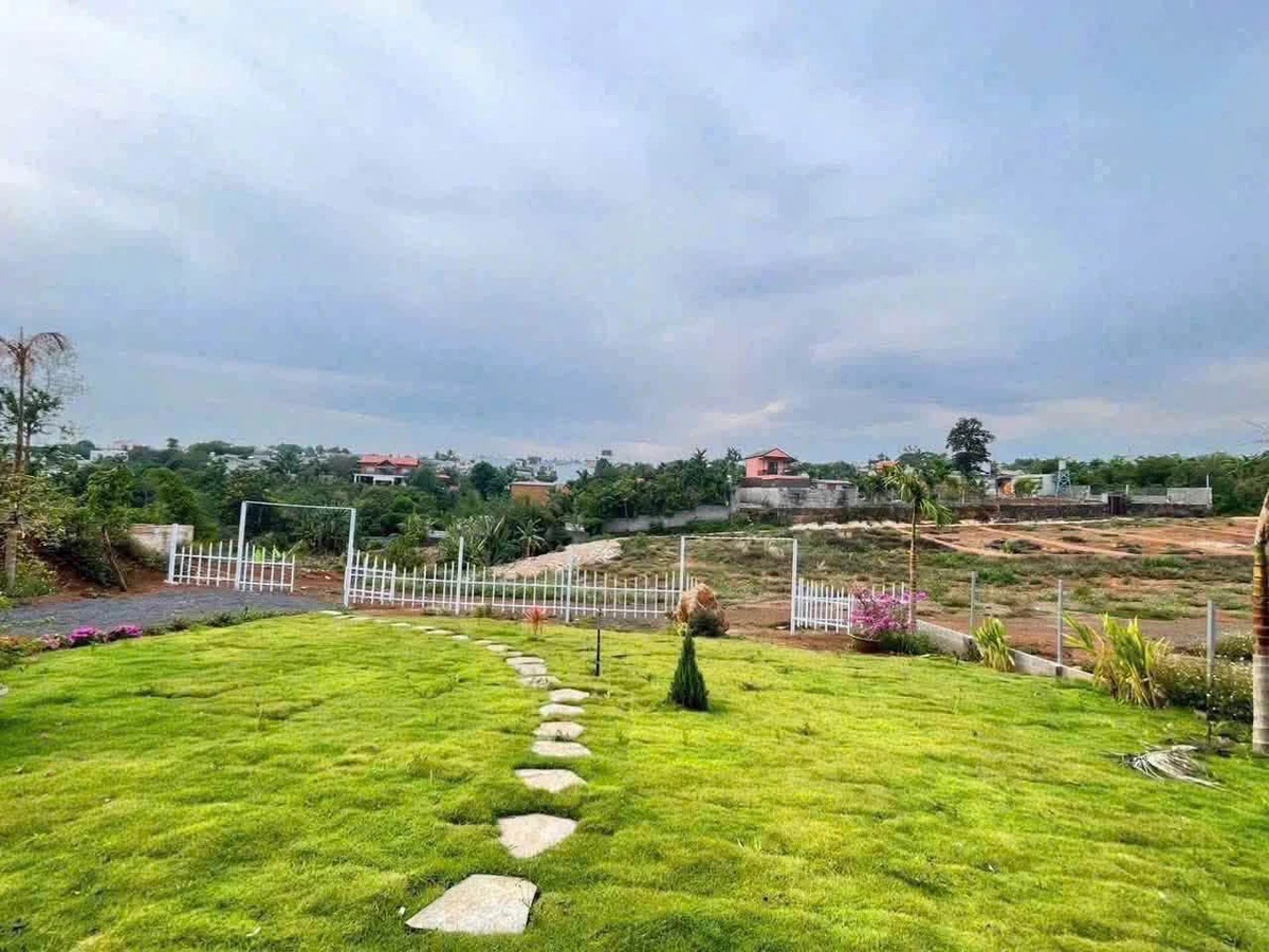 Bán 2.7 sào nhà vườn hẻm Y Moan, Cần Giờ, 3.5 tỷ - Ảnh thu nhỏ 2