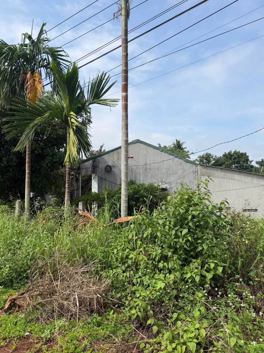 Bán nhà vườn view ao suối 884m² Eakao 2,1 tỷ - Ảnh thu nhỏ 3