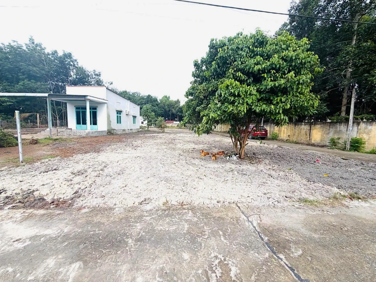 Bán lô góc 2 mặt tiền 500m2 Minh Long Quận 12 - Ảnh thu nhỏ 3