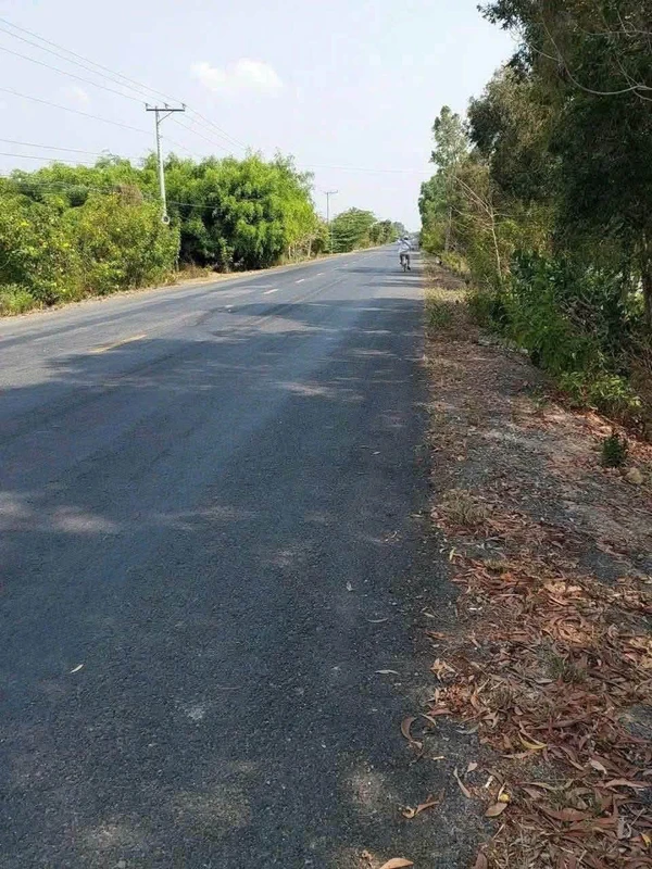 Bán đất 21.000m² mặt tiền Tiền Giang 24 tỷ
