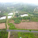 Bán đất 1.9 hecta mặt tiền Quốc Lộ 29, Krông Năng, Đắk Lắk - Ảnh thu nhỏ 2