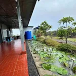 Bán nhà vườn 1.000m² với ao cá, cây ăn trái tại Long An - 1 tỷ 150 - Ảnh thu nhỏ 3