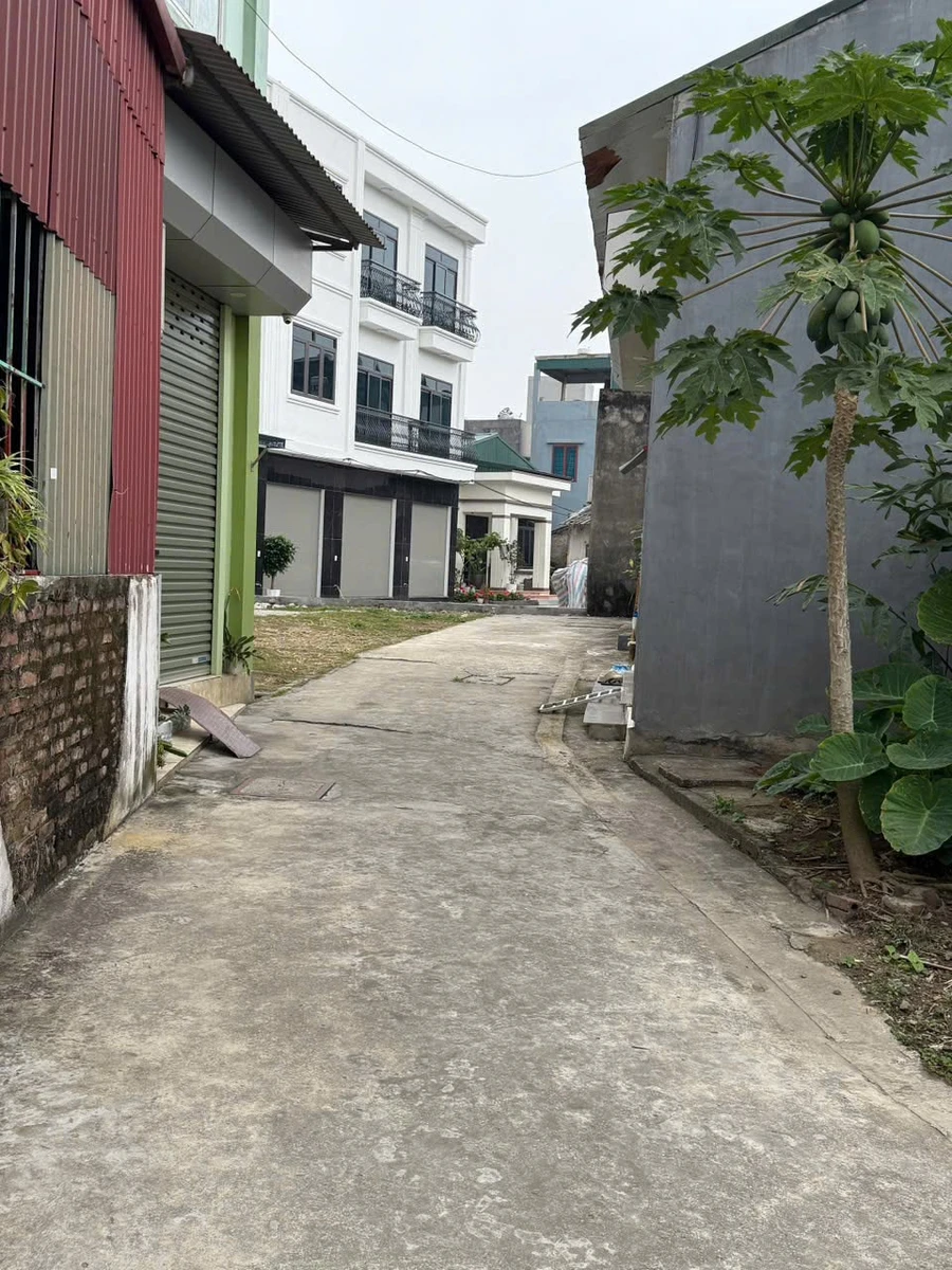 Bán lô góc 73,2m2 mặt tiền 4m Hải Phòng - Ảnh thu nhỏ 3