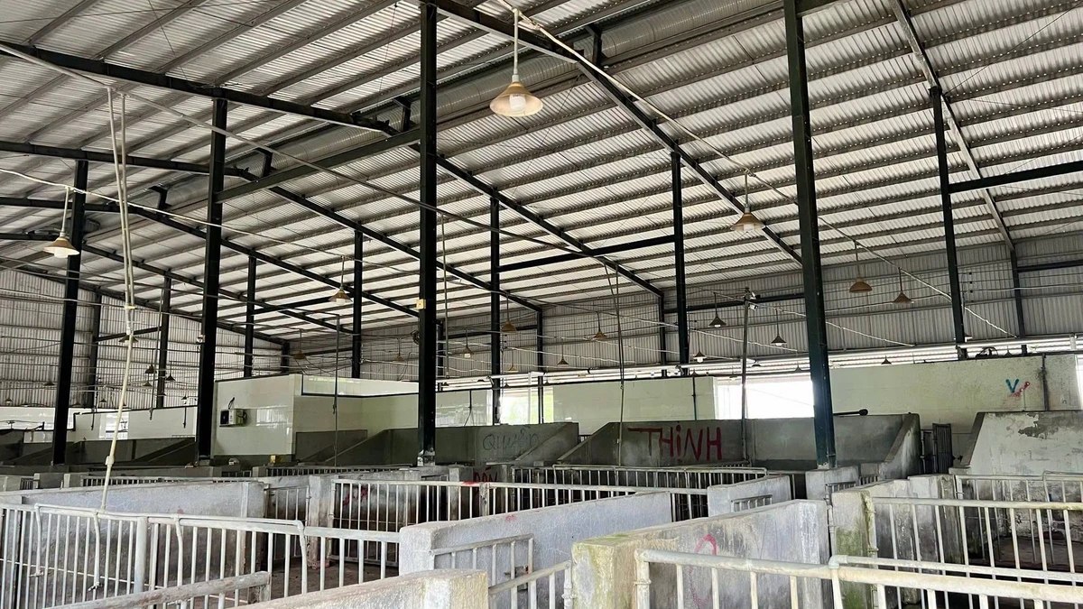 Bán nhà xưởng lò mổ gia cầm 28.000m2 Trảng Bom, Đồng Nai - Ảnh thu nhỏ 4