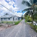 Bán đất vườn 13x39m sổ hồng riêng, đường xe tải, xã Đức Hoà, Tây Ninh - Ảnh thu nhỏ 4