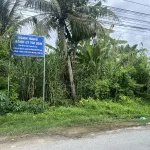 Ngân hàng thanh lý lô đất 1.442m2 tại Ngãi Tứ, Tam Bình, Vĩnh Long - Ảnh thu nhỏ 5