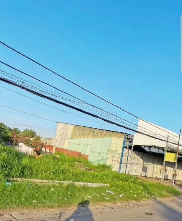 Bán đất mặt tiền QL51 An Phước, Long Thành, 165m2 - Ảnh thu nhỏ 3