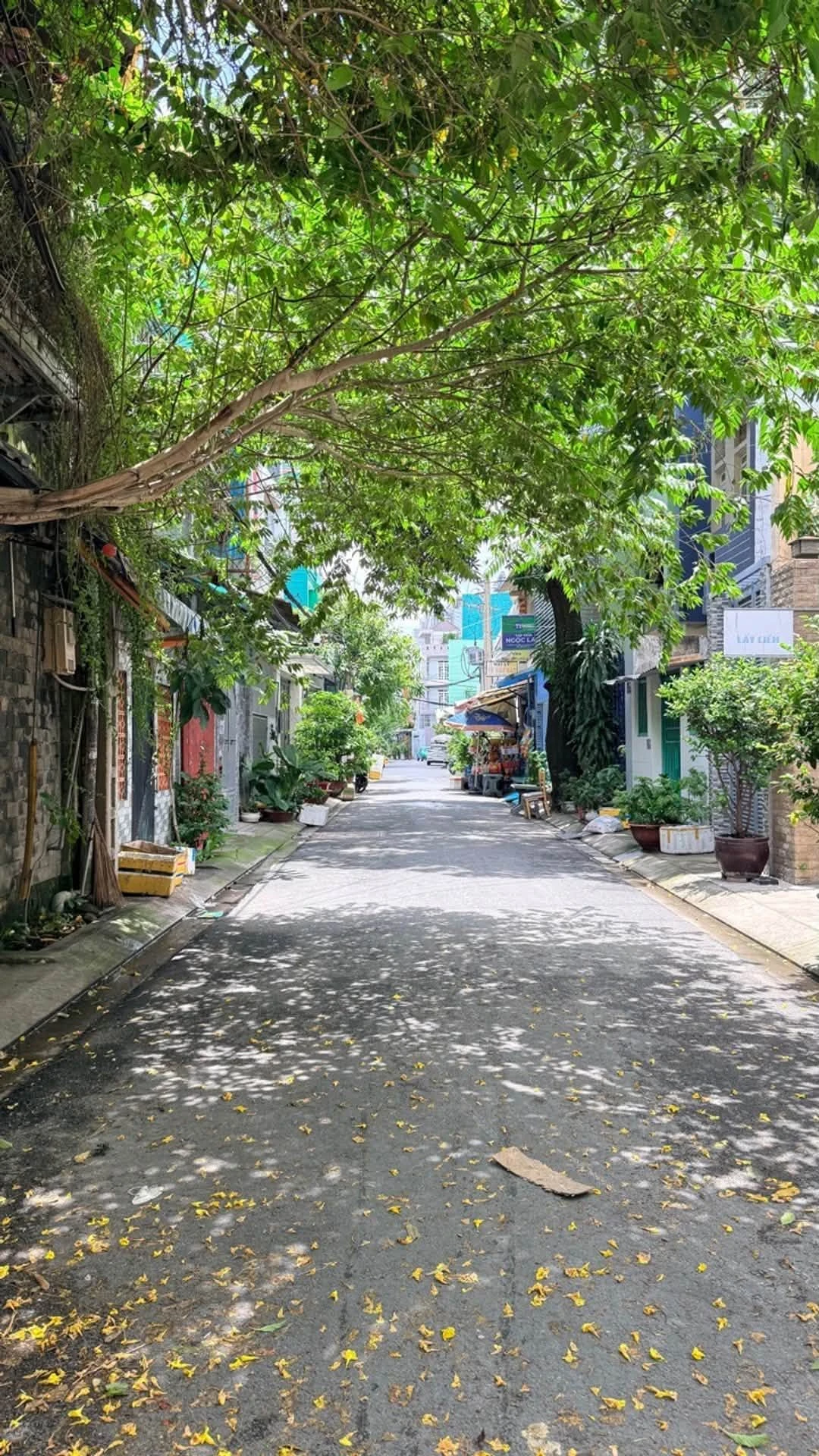 Nhà bán hơn 5 tỷ 48m² Lê Trọng Tấn Tân Phú - Ảnh 1