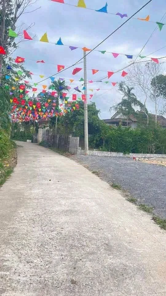 Bán đất Thuận Đức 10x22m, 550 triệu Nhà Bè - Ảnh thu nhỏ 2