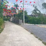 Bán đất Thuận Đức 10x22m, 550 triệu Nhà Bè - Ảnh thu nhỏ 2