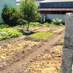 Bán đất hẻm Nguyễn Trung Trực 136m² giá 900 triệu - Ảnh thu nhỏ 4