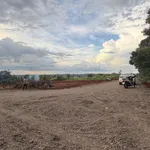 Bán đất nông nghiệp 500m2 bìa riêng Y Moan, Đắk Lắk - Ảnh thu nhỏ 3