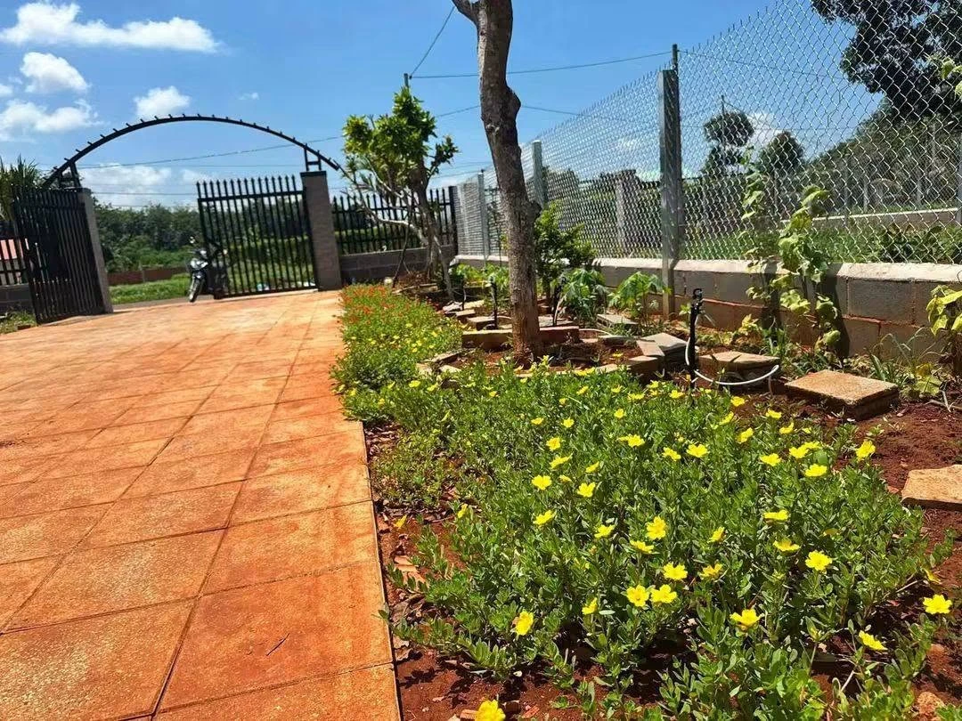 Bán nhà vườn Long Phước, Tam Long 500m² - 1 tỷ 790 triệu - Ảnh thu nhỏ 4