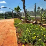 Bán nhà vườn Long Phước, Tam Long 500m² - 1 tỷ 790 triệu - Ảnh thu nhỏ 4