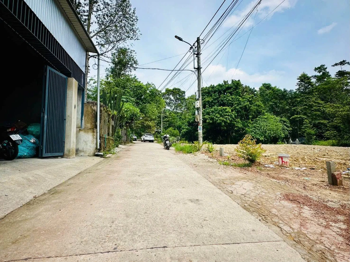 Bán lô đất 100m² kiệt Minh Mạng, Quận 5 - Ảnh thu nhỏ 5