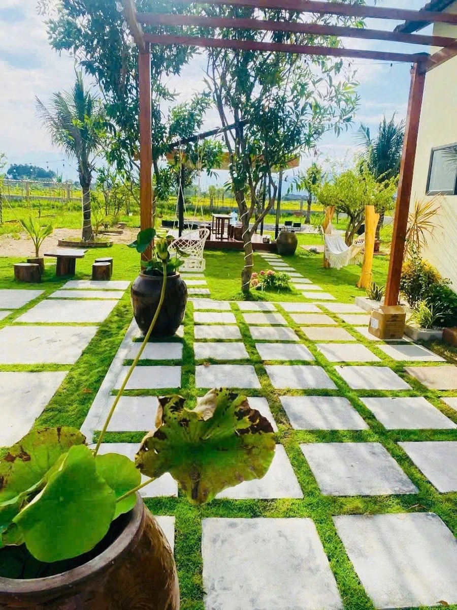 Bán nhà vườn 1.800m² gần Phan Thiết 2,2 tỷ - Ảnh thu nhỏ 3